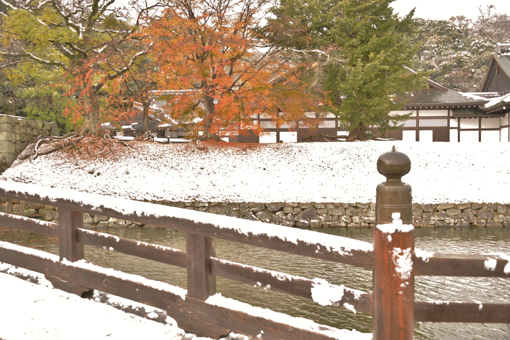 初雪に散り遅れ