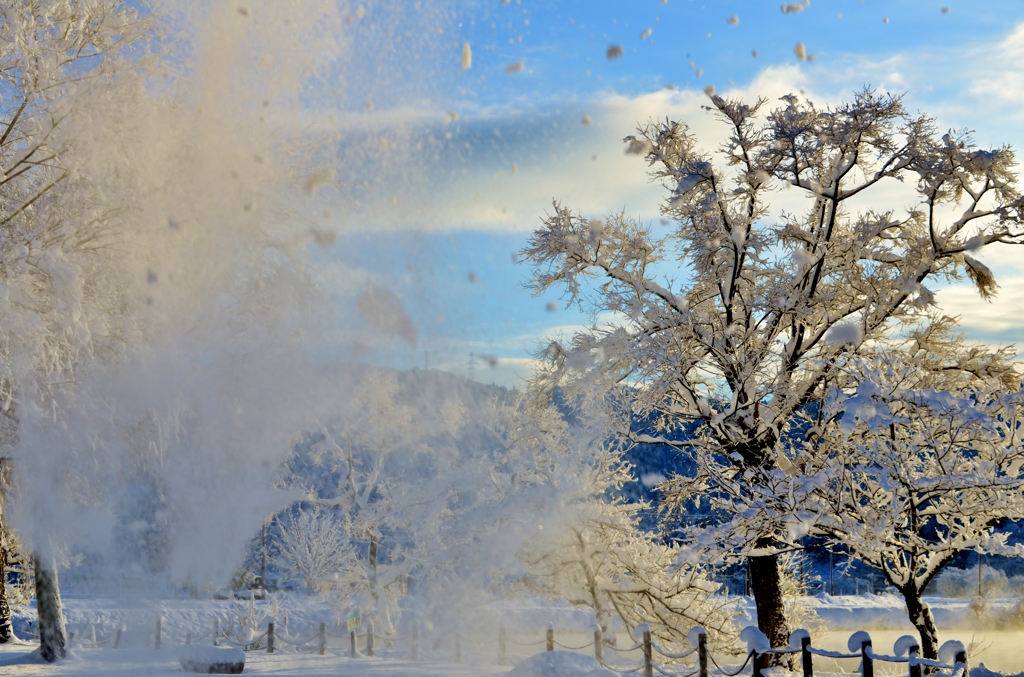 落雪