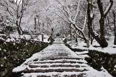 鶏足寺雪参道