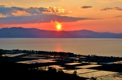 琵琶湖水田夕日