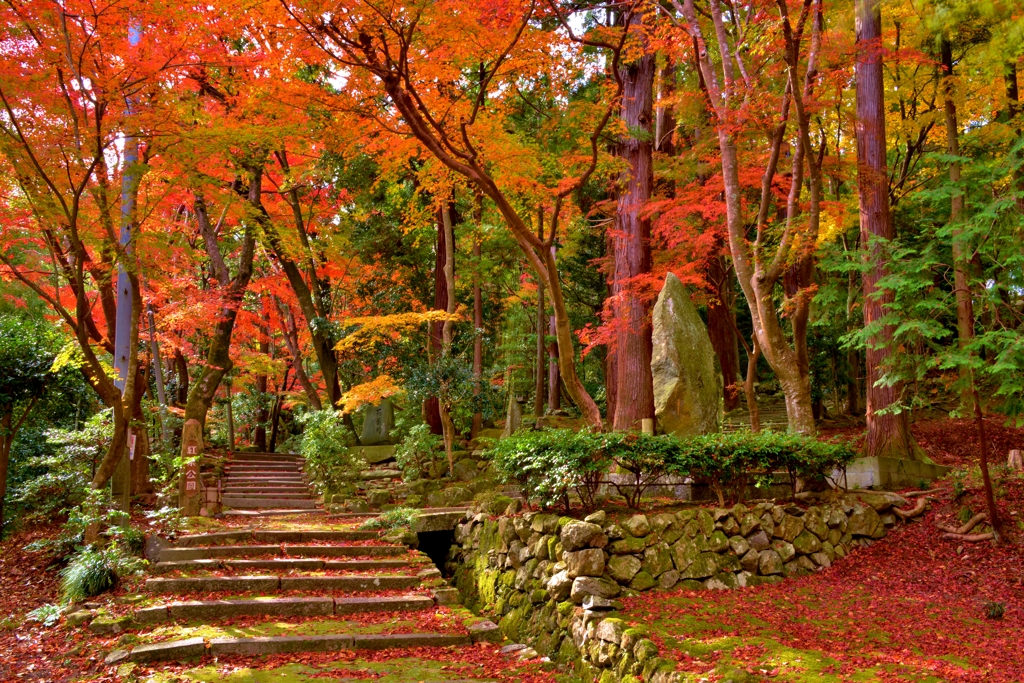 近江商人の紅葉公園　4-1
