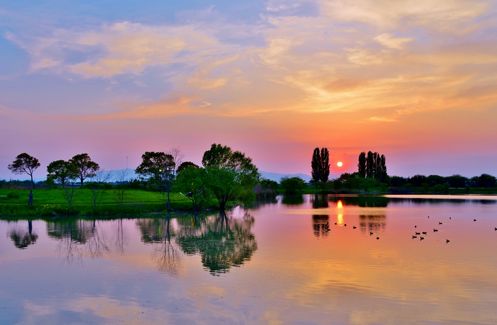 野田沼夕景