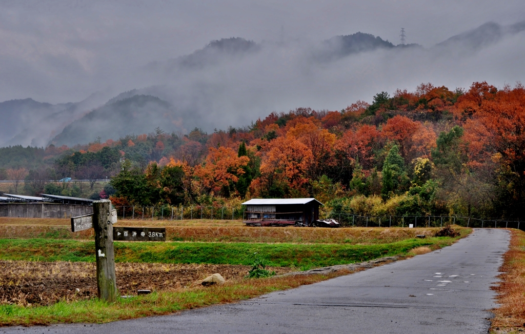 湖東紅葉冬景