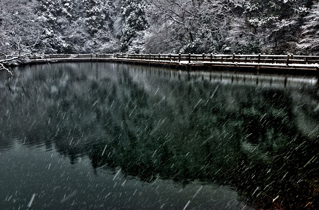 雪のもみじ池