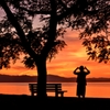夕映えの「あのベンチ」
