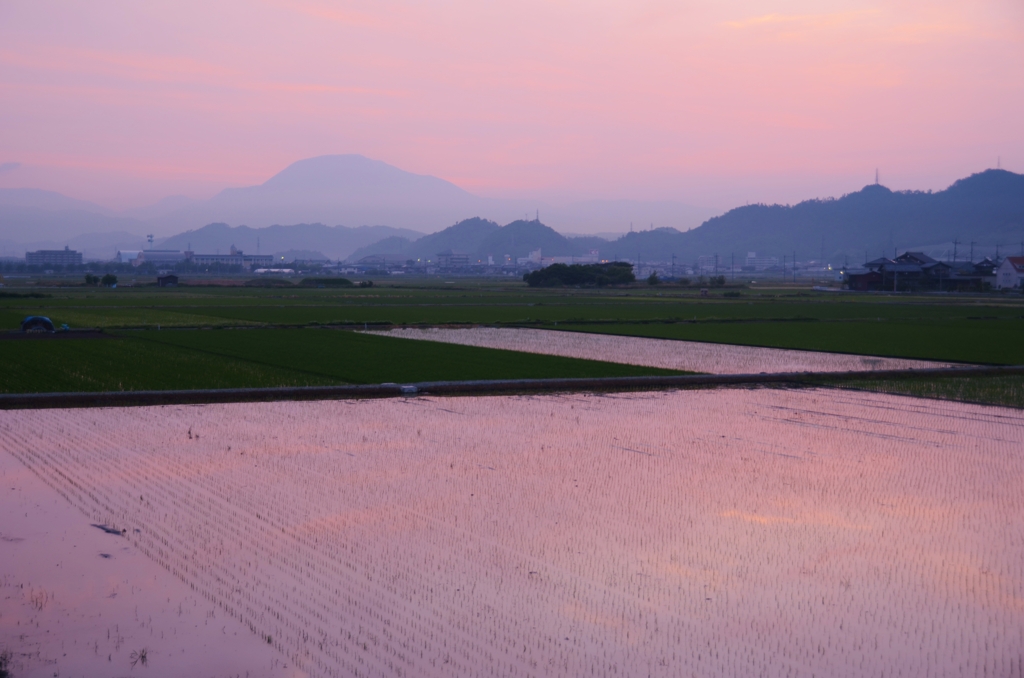 朝日はまだ