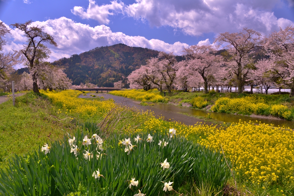 山笑う