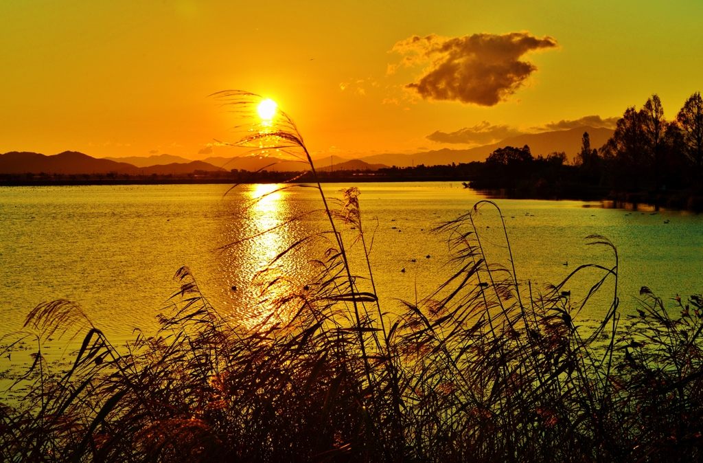 曽根沼秋夕日