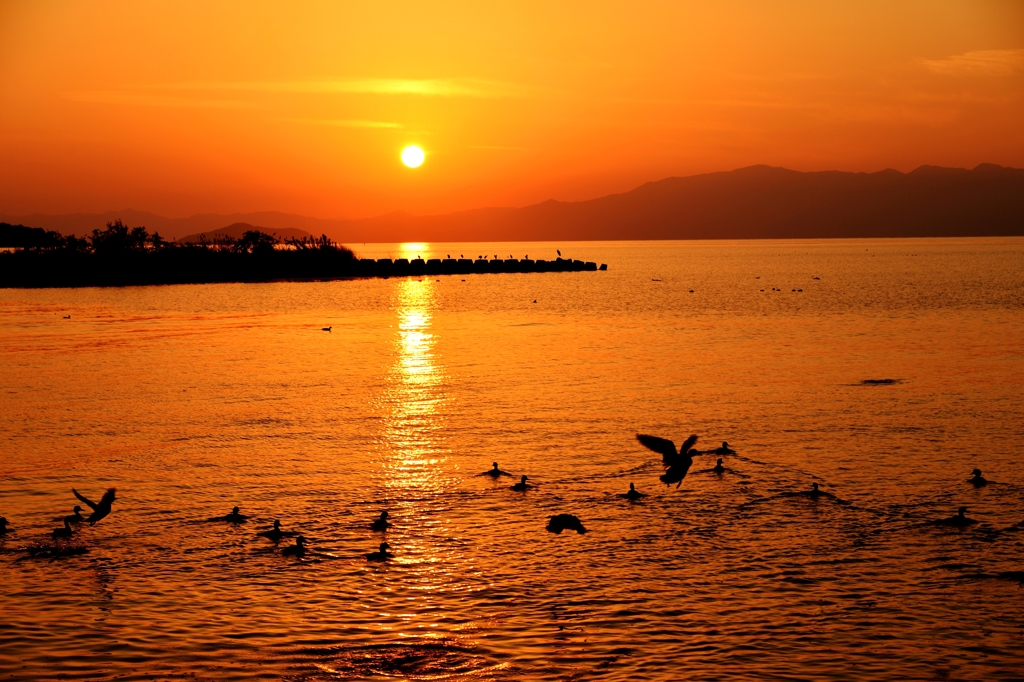 喧騒の秋夕日