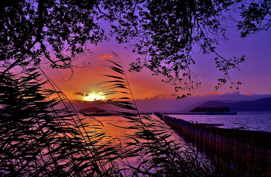 秋夕景