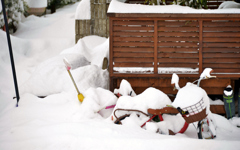 あぁ～雪が・・・
