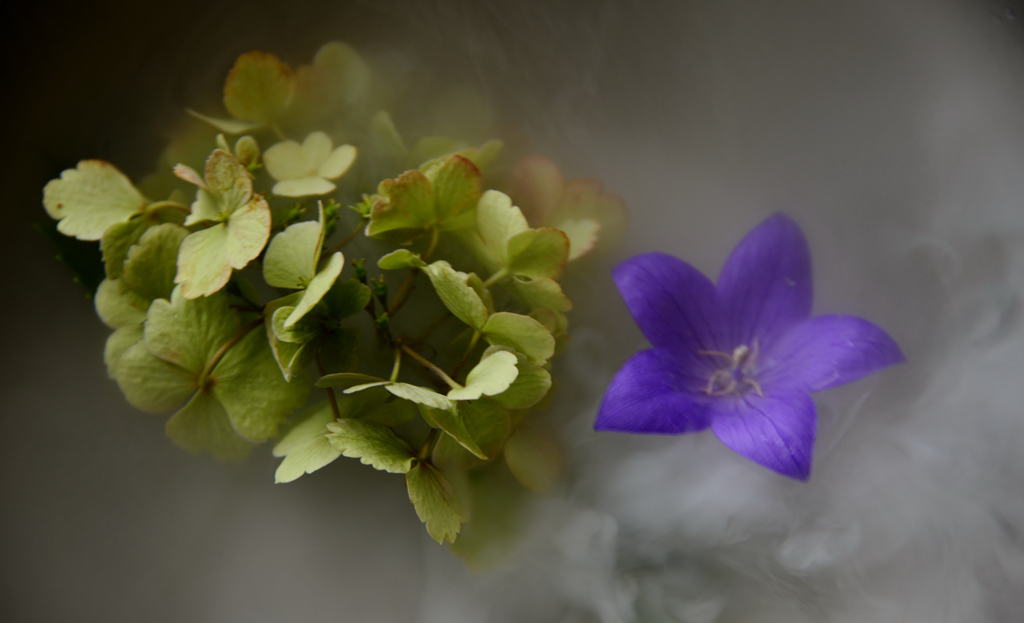 層雲花