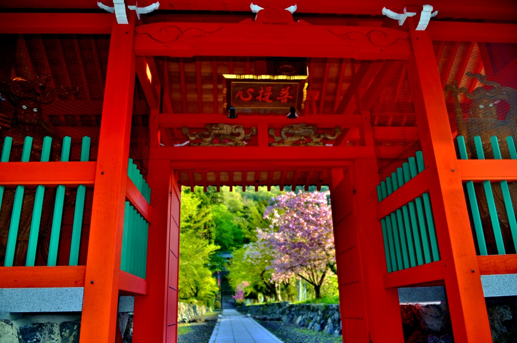 酒波寺山門参道