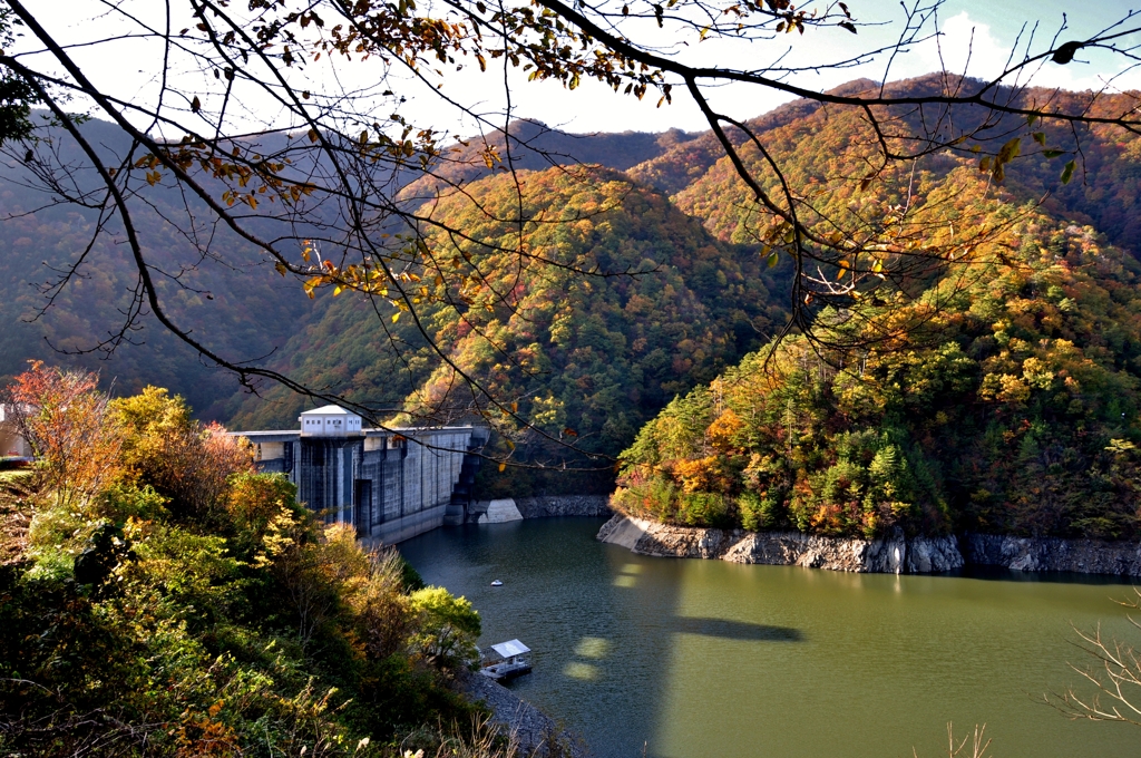 秋・姉川ダム