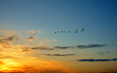 立春の夕空