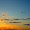 立春の夕空