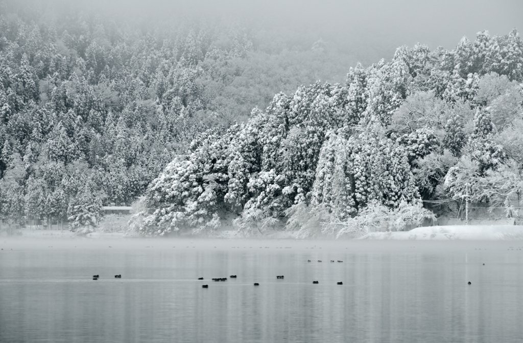 余呉雪景