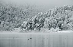 余呉雪景