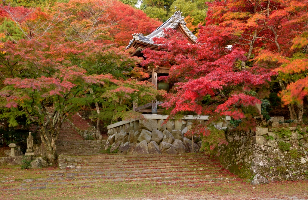 東光寺紅葉