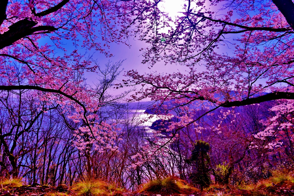 春幻想