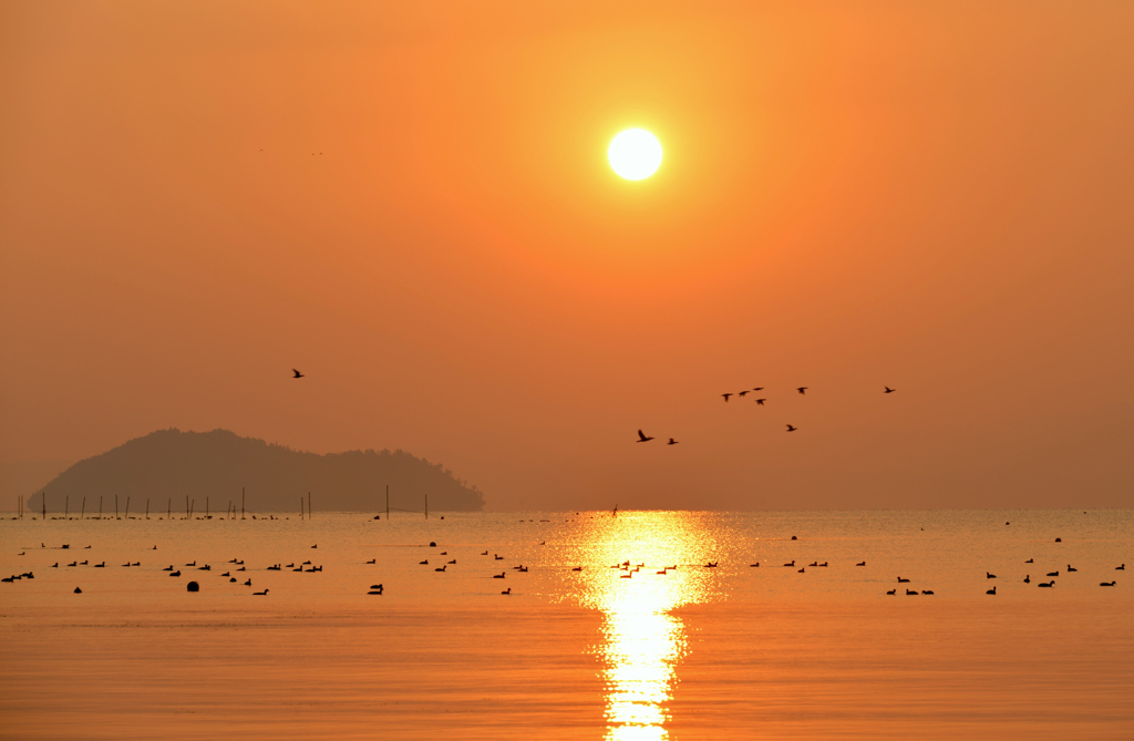 琵琶湖の朝