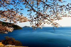奥琵琶湖春色