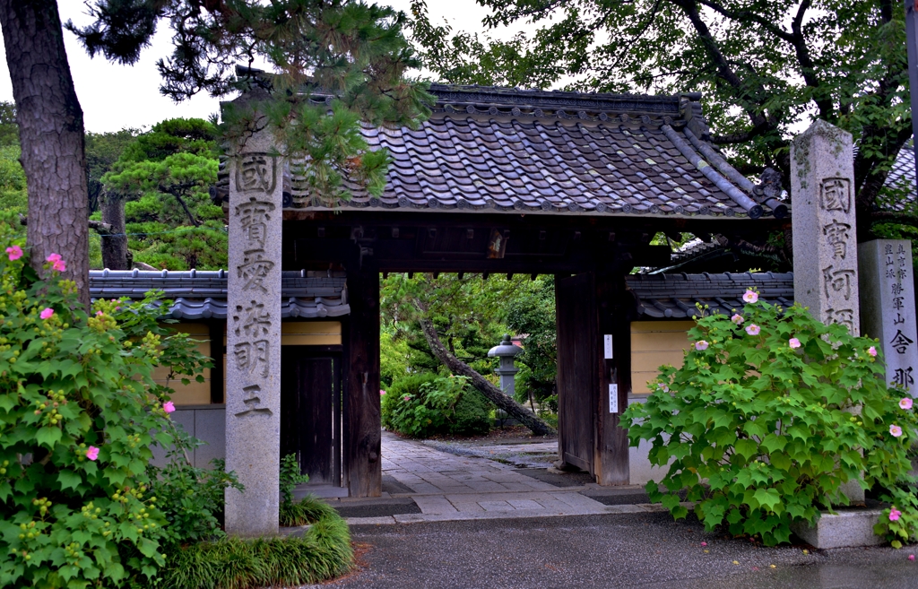 舎那院山門