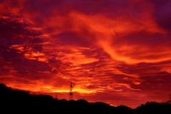 初春の朝焼け空