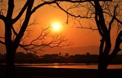 Paddy sunset