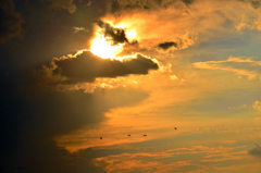 The evening sky