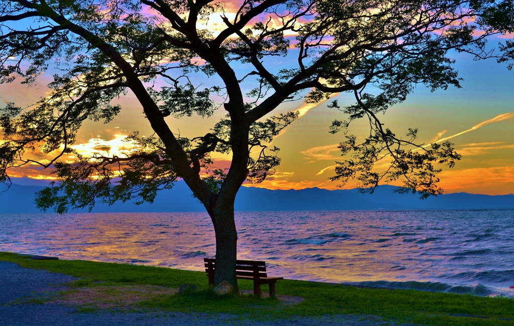 秋夕の「あのベンチ」