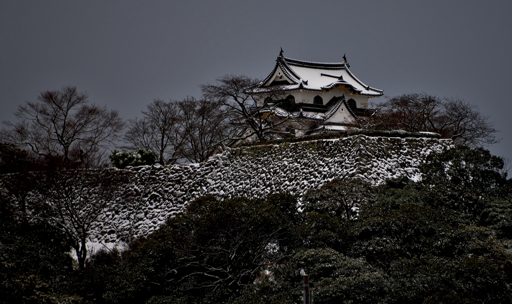 初雪の彦根城