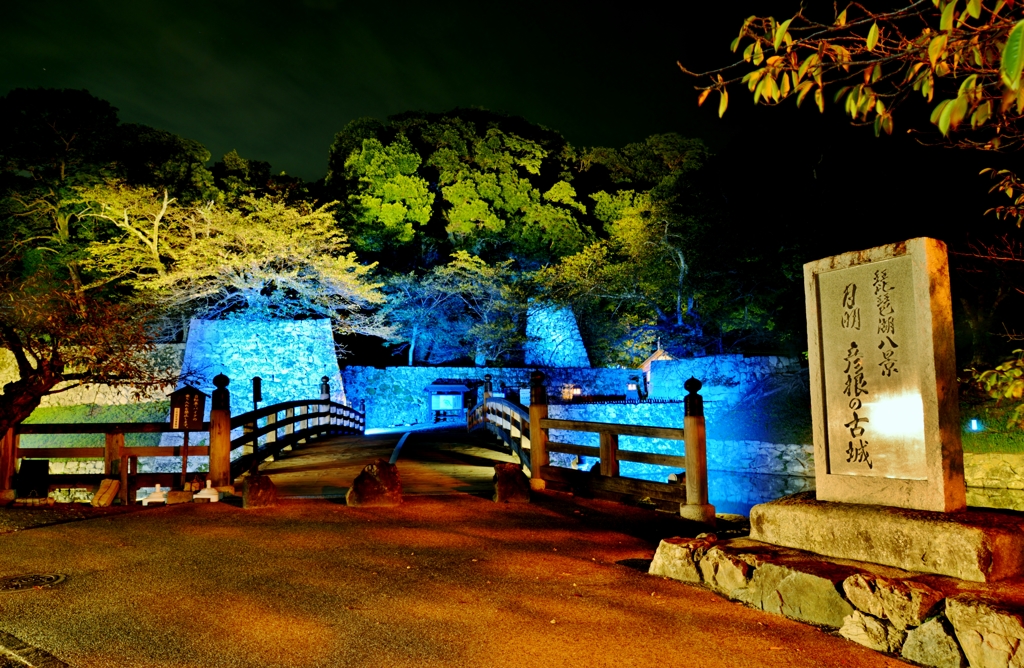 城あかり・彦根城表門　Ⅰ