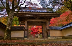 東光寺山門紅葉