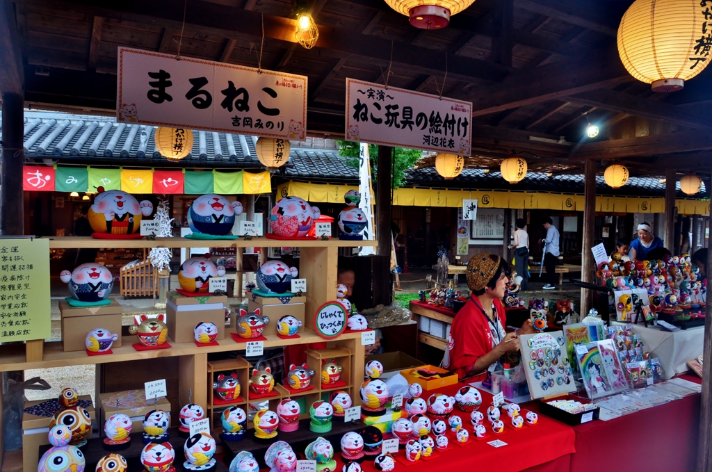 猫の店