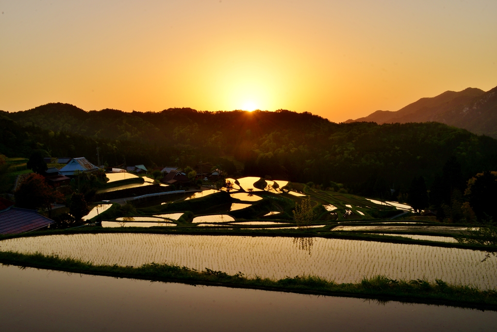 棚田の朝日