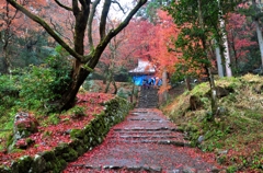 鶏足寺（旧飯福寺）本堂