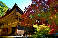 秋の金剛輪寺本堂