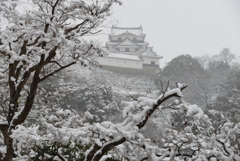 雪の彦根城散策　9