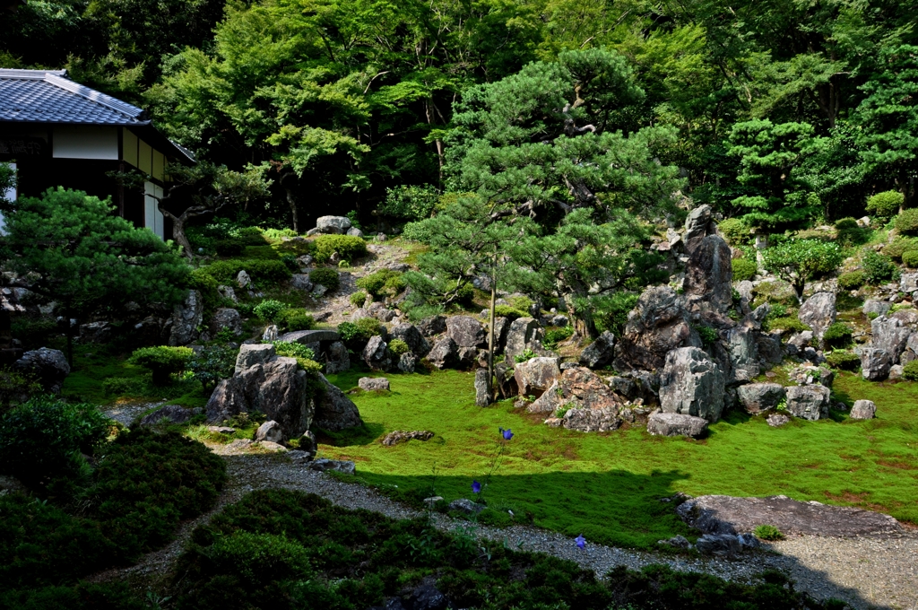 名勝青岸寺庭園