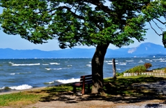 湖風の「あのベンチ」