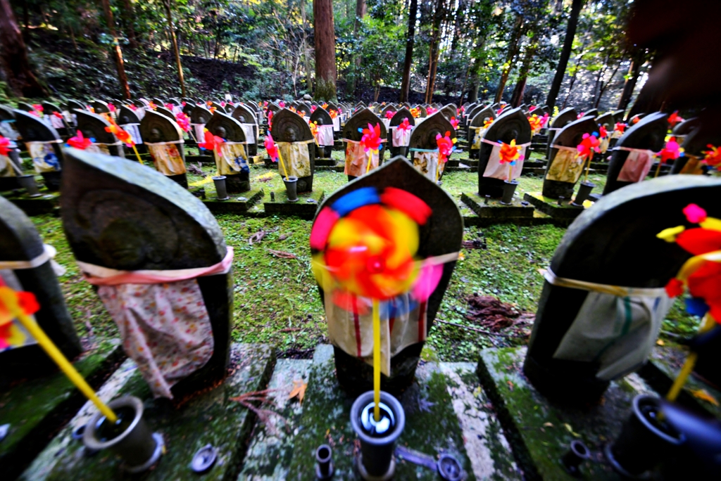 秋ブラ散歩金剛輪寺　14