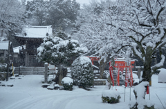 雪景色の社寺