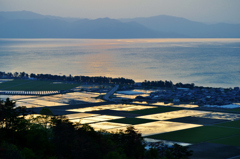 琵琶湖と水田