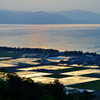 琵琶湖と水田