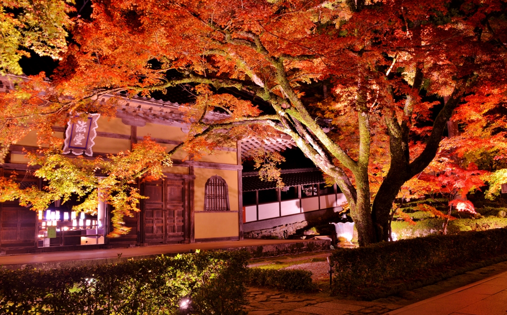永源寺法堂紅葉