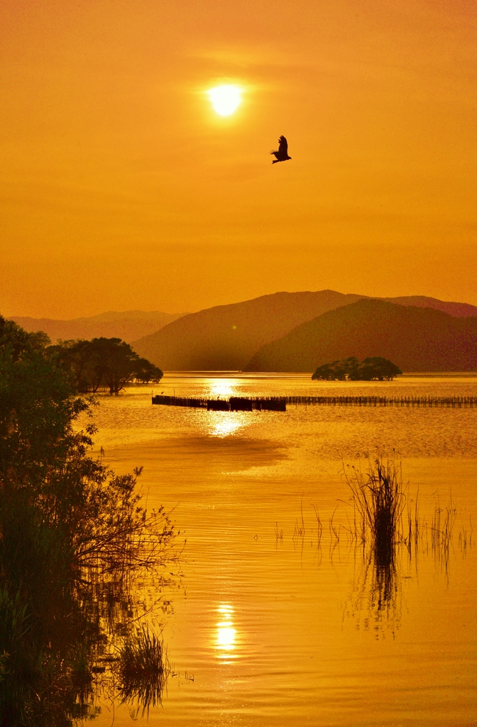 Evening landscape