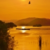Evening landscape