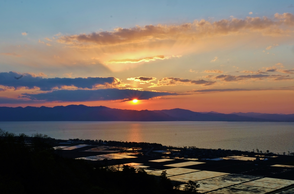 琵琶湖水田夕景