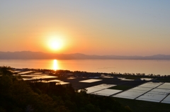琵琶湖と水田の夕日　Ⅱ